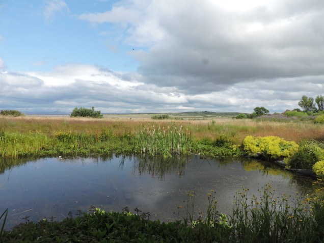 View from the SOC window