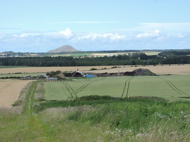 I didn't take many photos on this walk - too busy chatting!  The hill in the distance is North Berwick Law (now that's a high hill!).  The 'farm' like buildings in the middle turned out to be an abattoir which smelled disgusting and made us walk very fast!