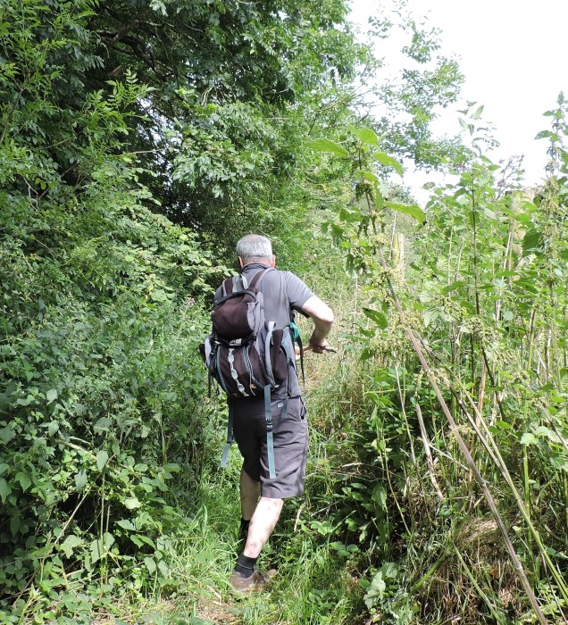 Mr RR fighting his way through the jungle!