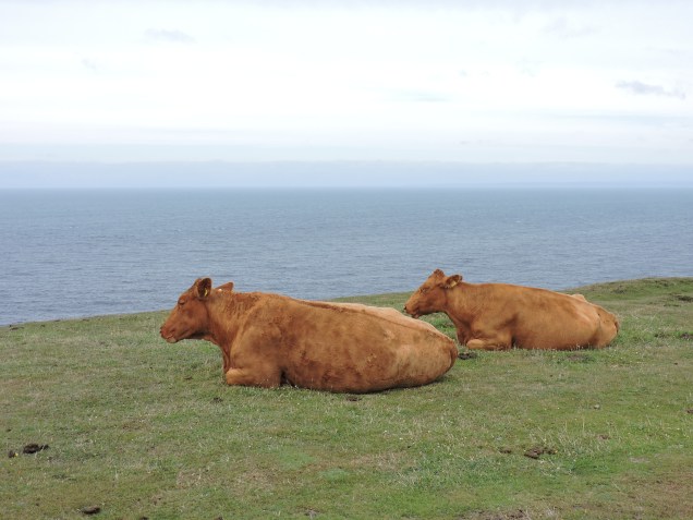 So close to the edge......it's a long way down!