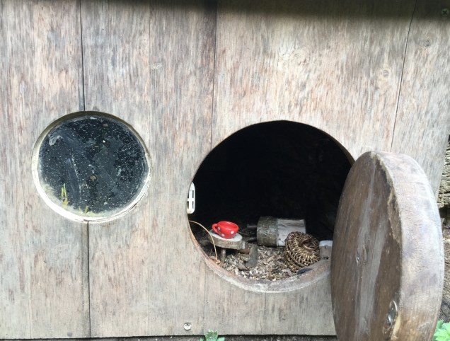 The Mole has made his way out into the sunshine!