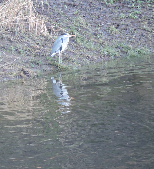 DSCN4253.JPG