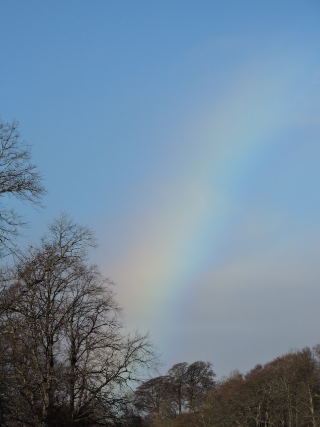 DSCN4259.JPG